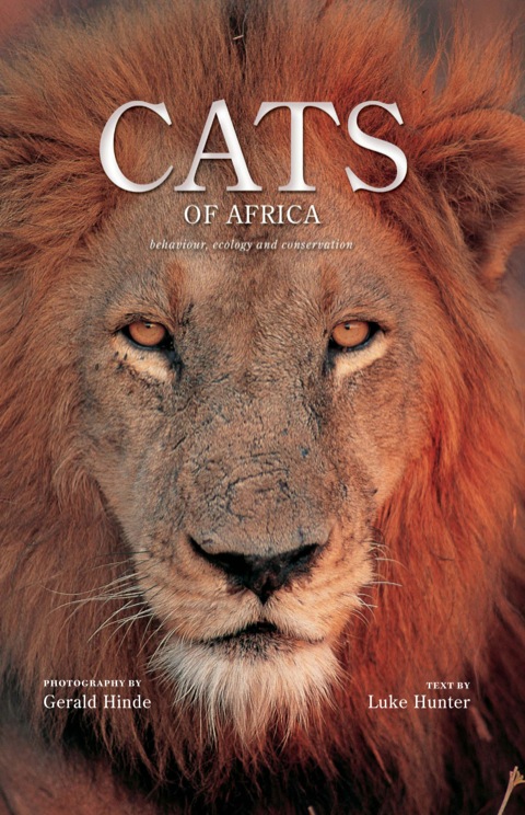 Cover image for book Cats of Africa