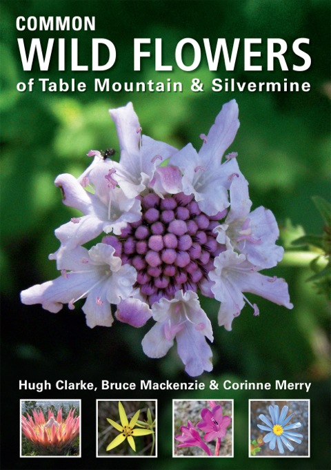 Cover image for book Common Wild Flowers of Table Mountain & Silvermine