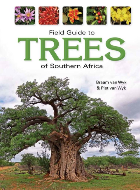 Cover image for book Field Guide to Trees of Southern Africa