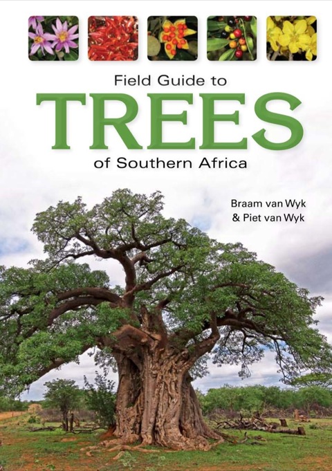 Cover image for book Field Guide to Trees of Southern Africa