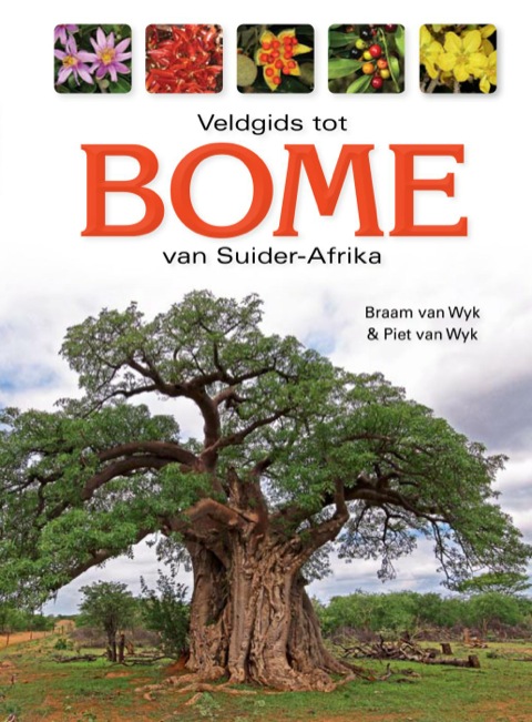 Cover image for book Veldgids tot bome van Suider-Afrika
