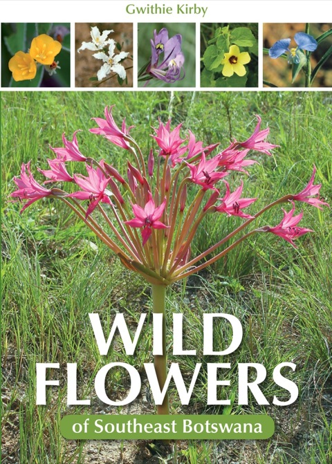 Cover image for book Wild Flowers of Southeast Botswana