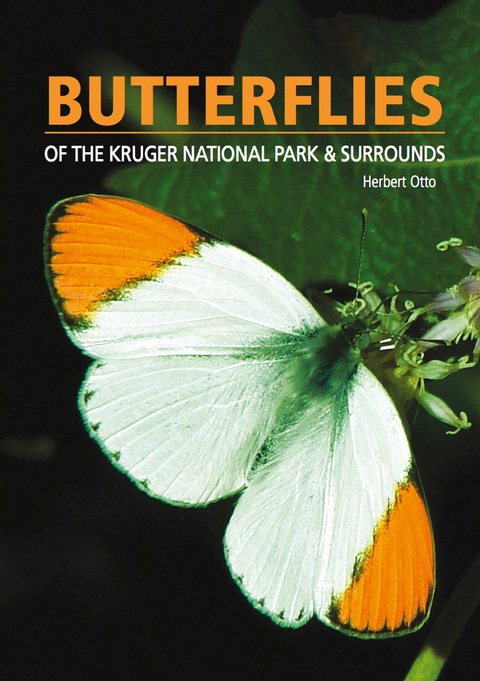 Cover image for book Butterflies of the Kruger National Park and Surrounds
