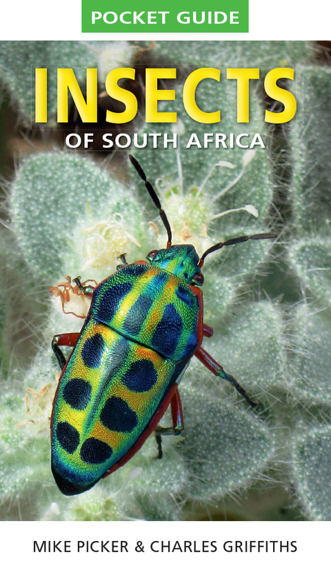 Cover image for book Pocket Guide to Insects of South Africa
