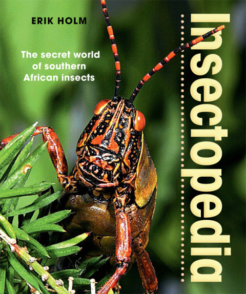 Cover image for book Insectopedia – The secret world of southern African insects