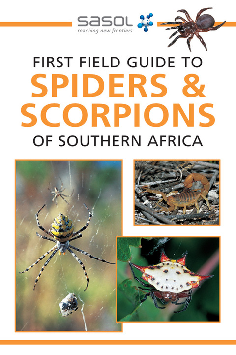 Cover image for book Sasol First Field Guide to Spiders & Scorpions of Southern Africa