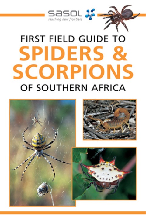 Cover image for book Sasol First Field Guide to Spiders & Scorpions of Southern Africa