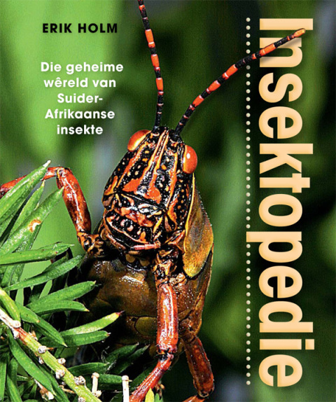 Cover image for book Insektopedie – Die geheime wêreld van Suider-Afrikaanse insekte