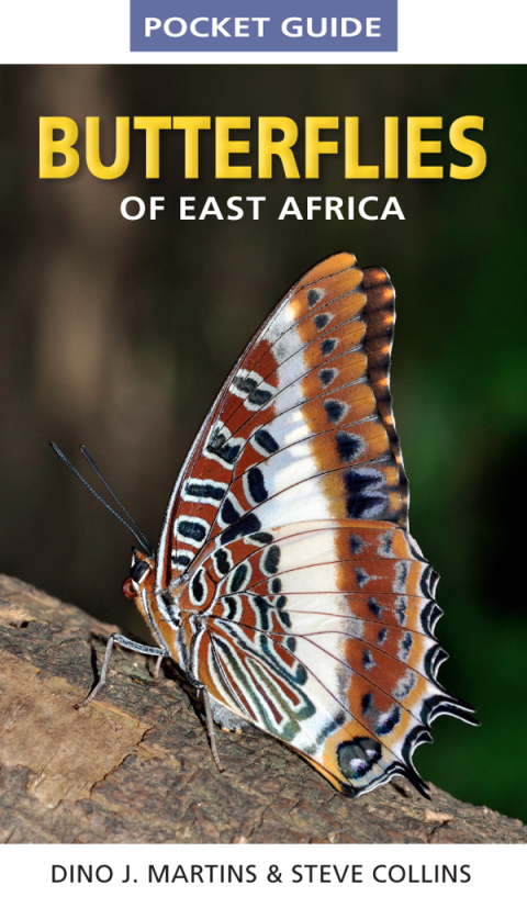 Cover image for book Pocket Guide Butterflies of East Africa