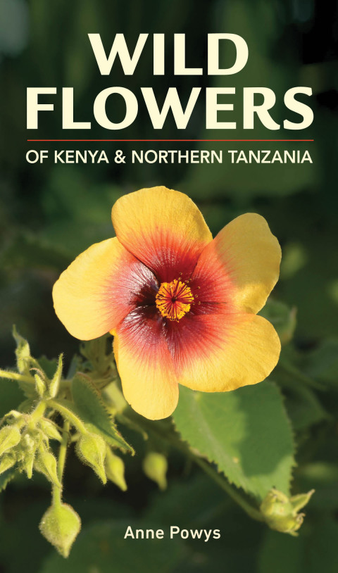 Cover image for book Wild Flowers of Kenya and Northern Tanzania