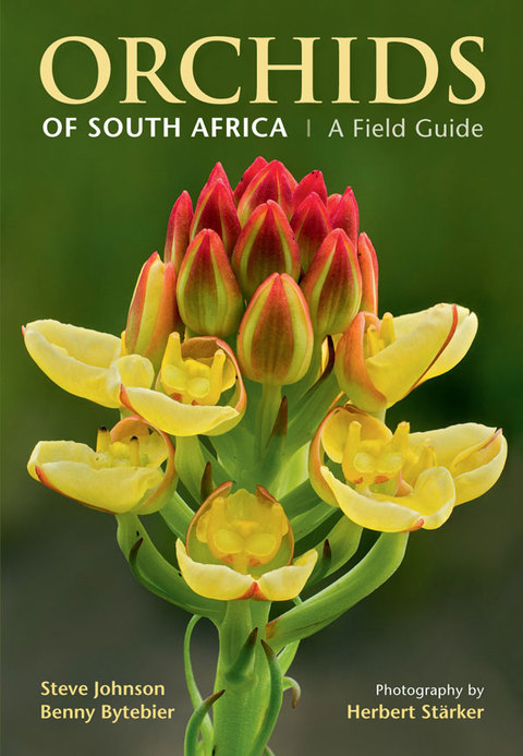 Cover image for book Orchids of South Africa