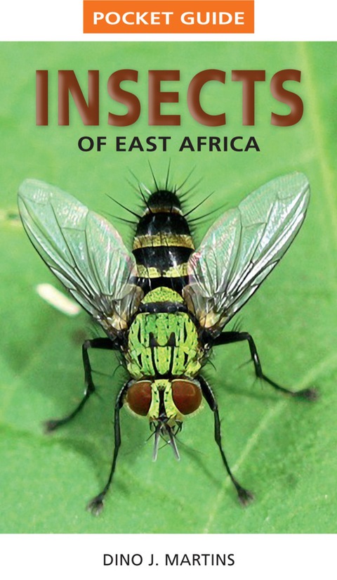 Cover image for book Pocket Guide Insects of East Africa