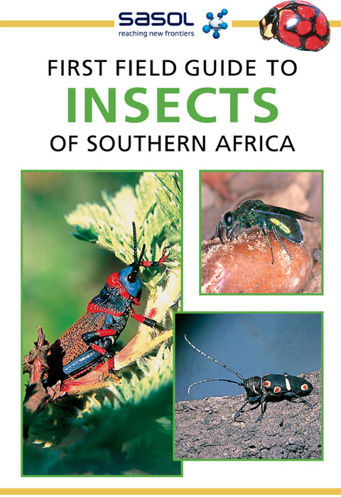 Cover image for book Sasol First Field Guide to Insects of Southern Africa