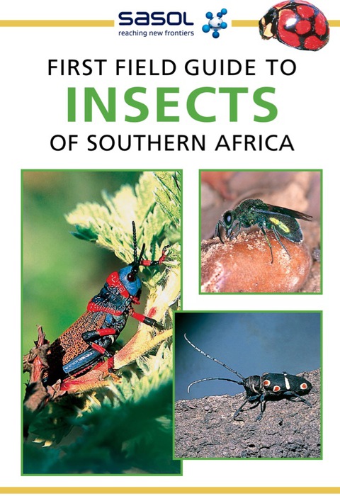 Cover image for book Sasol First Field Guide to Insects of Southern Africa
