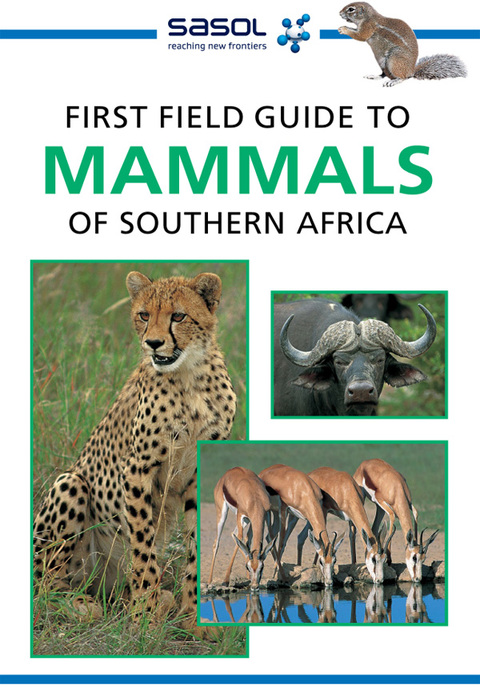 Cover image for book Sasol First Field Guide to Mammals of Southern Africa