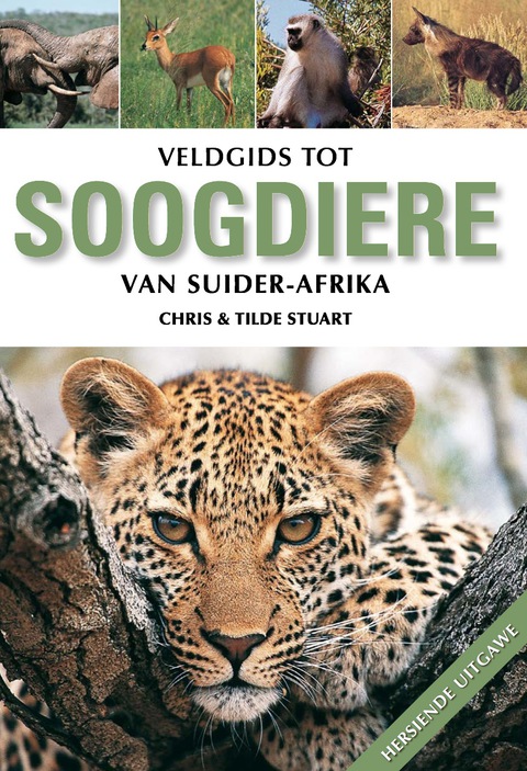 Cover image for book Veldgids tot Soogdiere van Suider-Afrika