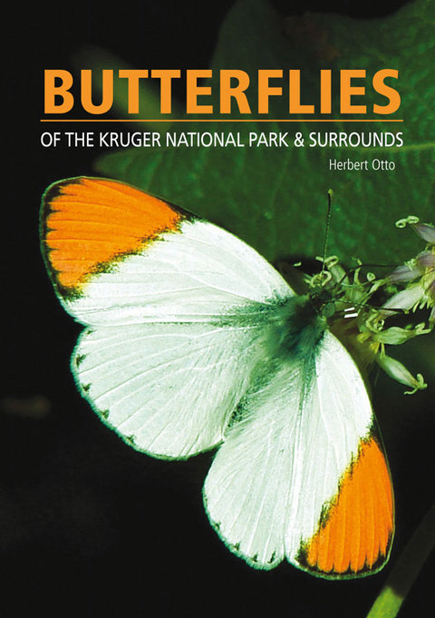 Cover image for book Butterflies of the Kruger National Park and Surrounds
