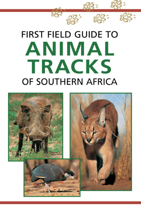 Cover image for book Sasol First Field Guide to Animal Tracks of Southern Africa