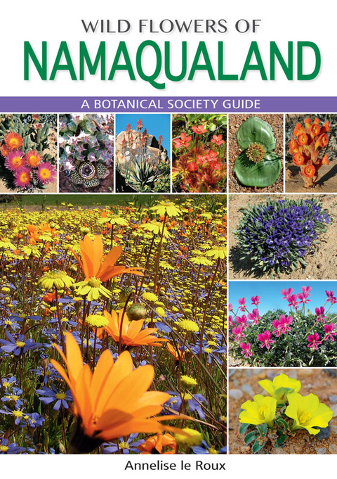 Cover image for book Wild Flowers of Namaqualand