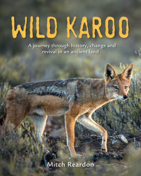 Cover image for book Wild Karoo