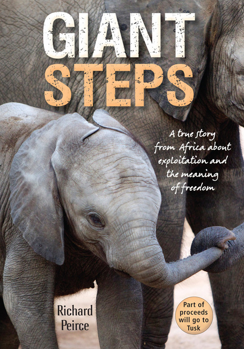 Cover image for book Giant Steps
