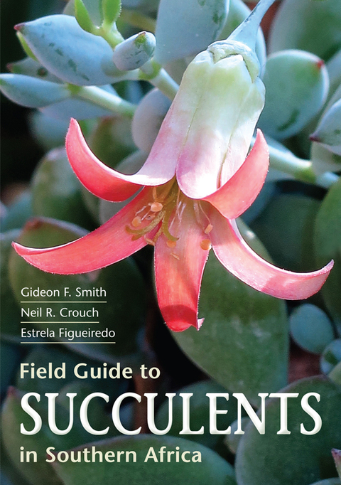 Cover image for book Field Guide to Succulents of Southern Africa