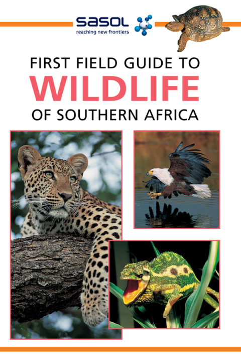 Cover image for book Sasol First Field Guide to Wildlife of Southern Africa