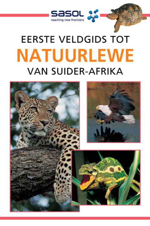 Cover image for book Sasol Eerste Veldgids tot Natuurlewe van Suider-Afrika