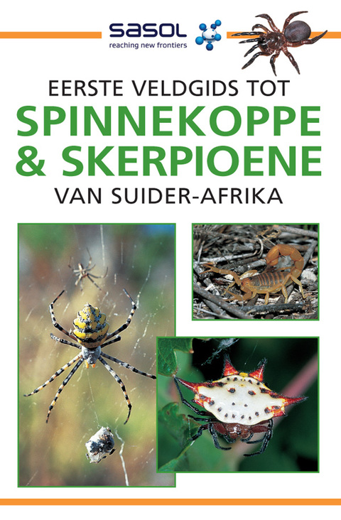Cover image for book Sasol Eerste Veldgids tot Spinnekoppe en Skerpioene van Suider-Afrika