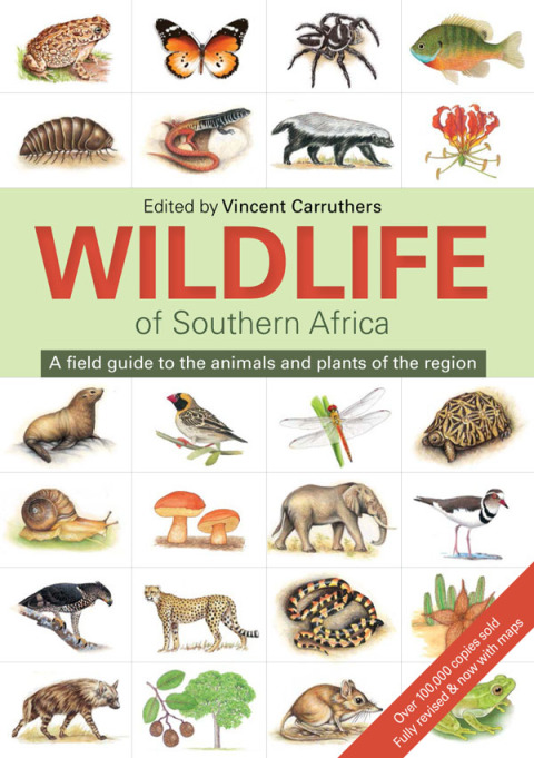 Cover image for book The Wildlife of Southern Africa