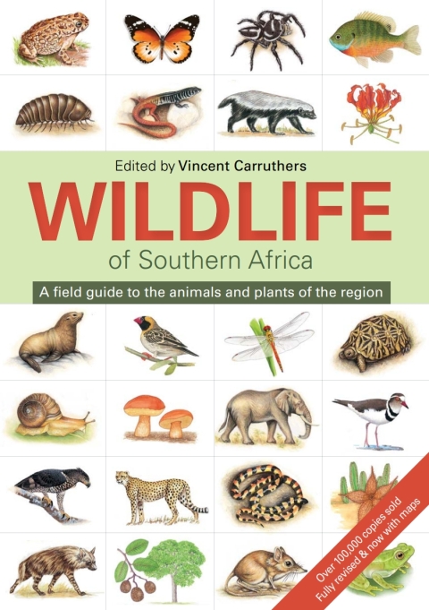 Cover image for book The Wildlife of Southern Africa