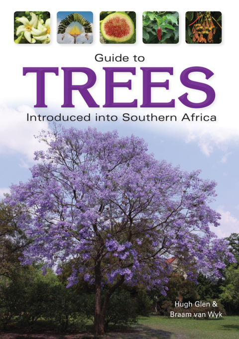 Cover image for book Guide to Trees Introduced into Southern Africa