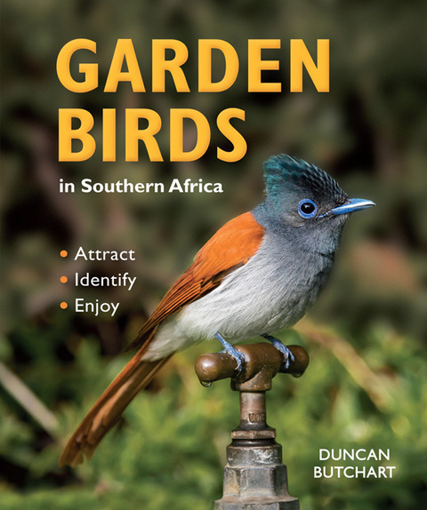 Cover image for book Garden Birds in Southern Africa