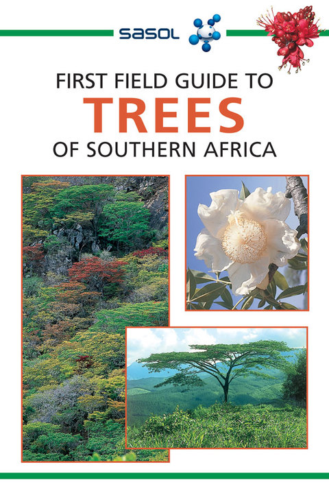 Cover image for book Sasol First Field Guide to Trees of Southern Africa