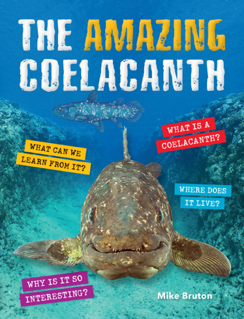 Cover image for book The Amazing Coelacanth