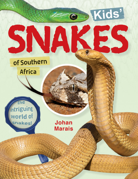 Cover image for book Kids’ snakes of Southern Africa