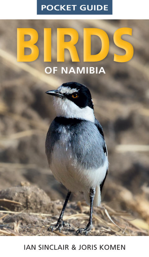 Cover image for book Pocket Guide to Birds of Namibia
