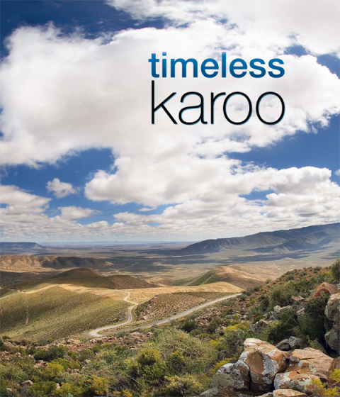 Cover image for book Timeless Karoo