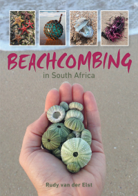 Cover image: Beachcombing in South Africa 1st edition 9781775845713