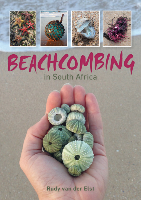 Cover image for book Beachcombing in South Africa