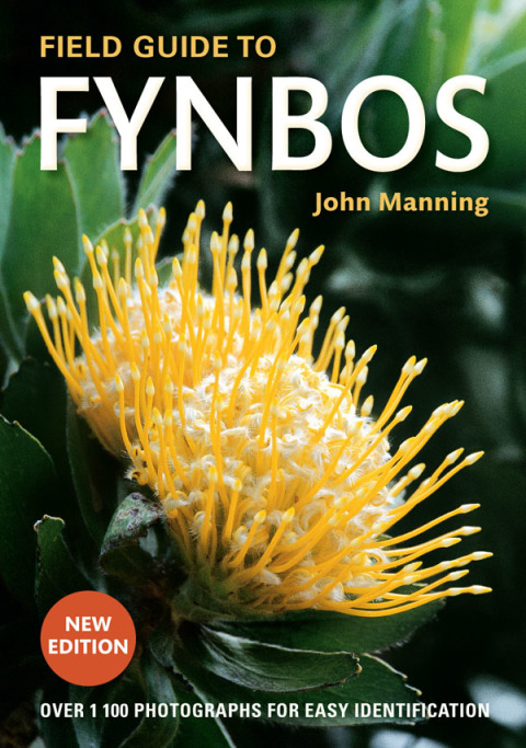 Cover image for book Field Guide to Fynbos