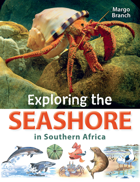 Cover image for book Exploring the Seashore in Southern Africa