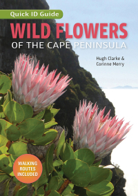 Cover image: Wild Flowers of the Cape Peninsula – Quick ID Guide 1st edition 9781775846406