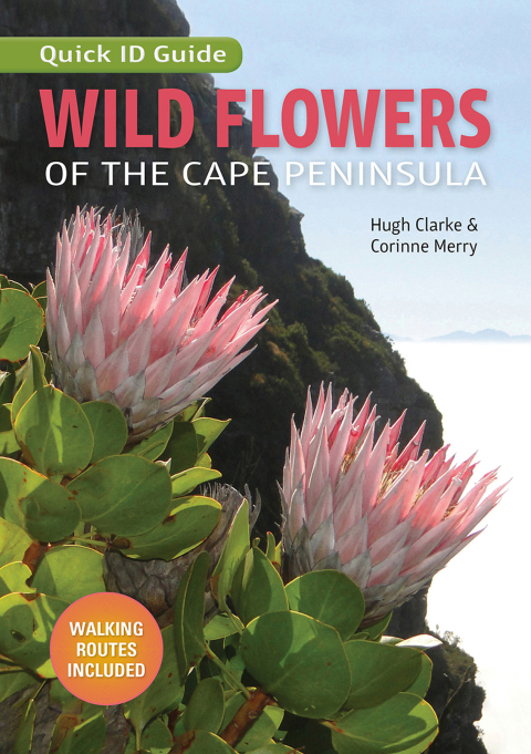 Cover image for book Wild Flowers of the Cape Peninsula – Quick ID Guide