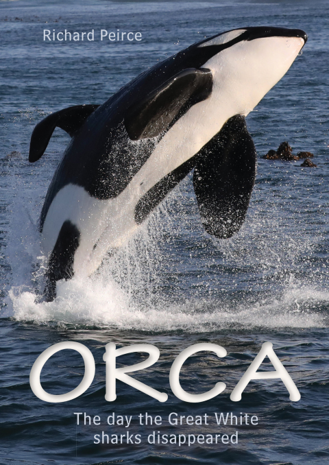 Cover image for book Orca