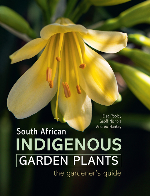 Cover image for book South African Indigenous Garden Plants