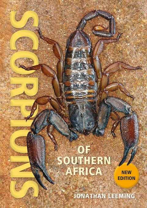 Cover image for book Scorpions of Southern Africa