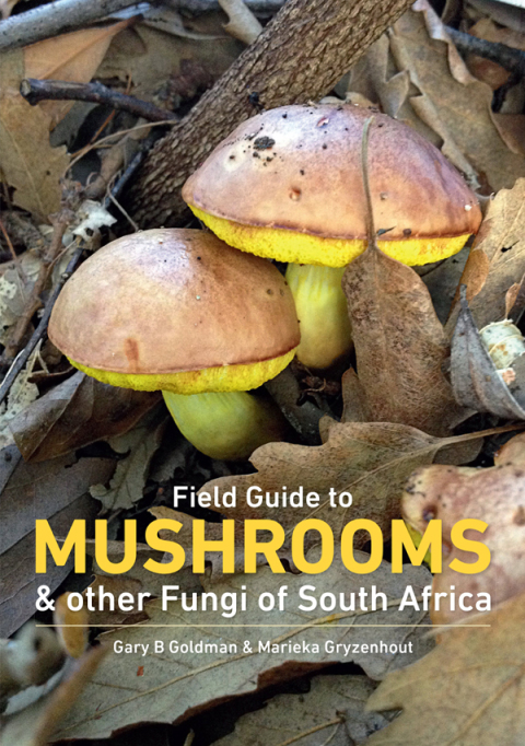 Cover image for book Field Guide to Mushrooms & other Fungi of South Africa