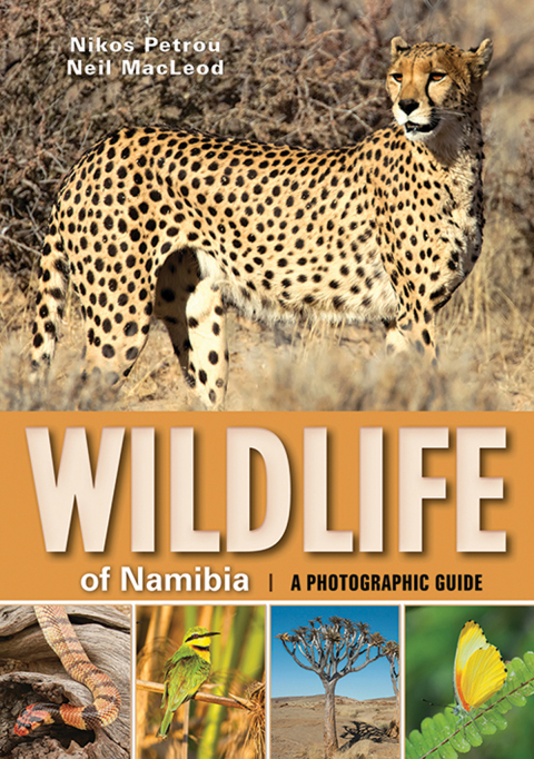 Cover image for book Wildlife of Namibia