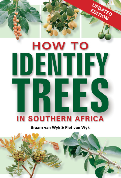 Cover image for book How to Identify Trees in Southern Africa